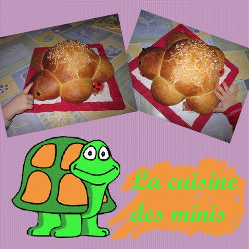 tortue Tortue-la-cuisine-des-minis