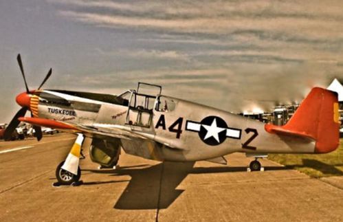 North American P-51 Mustang en quelques mots . Portrait.jpg