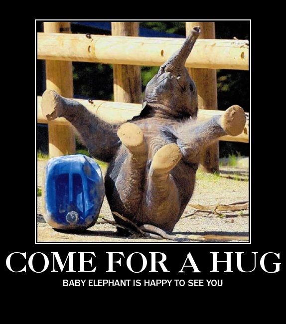 If I could I would today